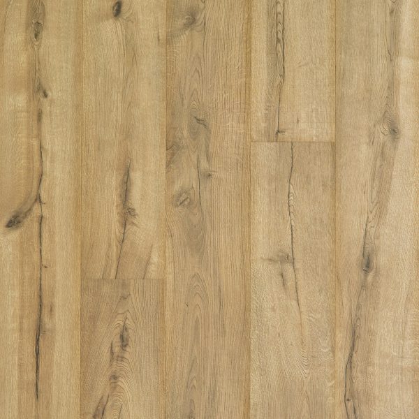 RevWood Plus