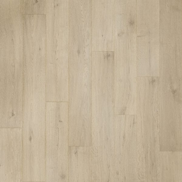 RevWood Plus