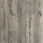 RevWood Plus