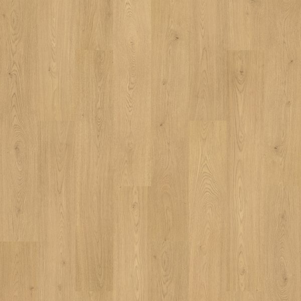 RevWood Plus