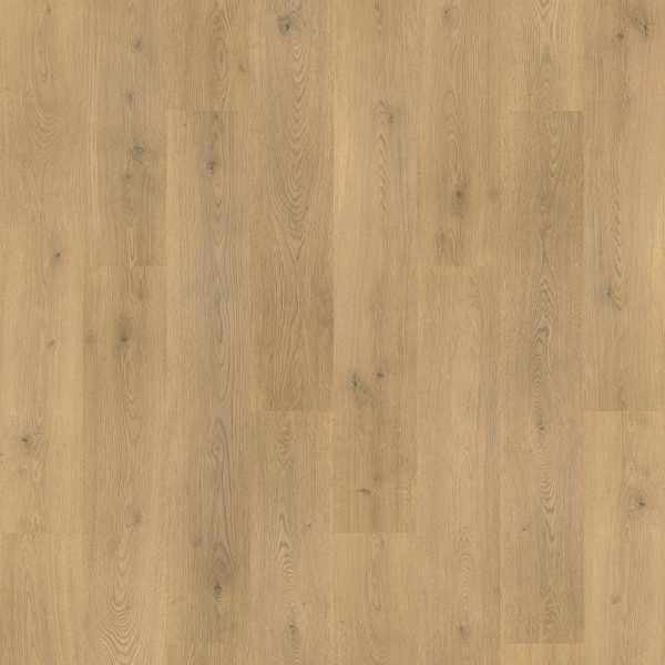 RevWood Plus