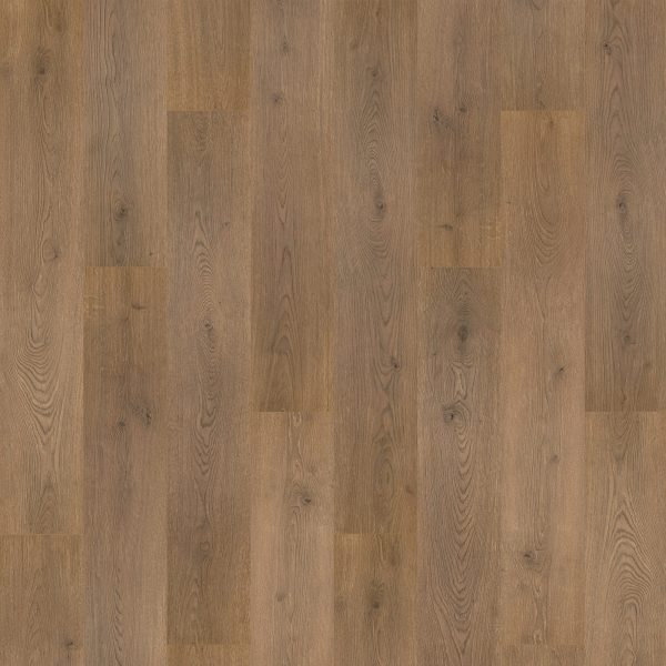 RevWood Plus