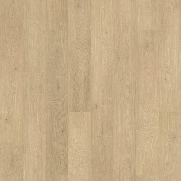 RevWood Plus