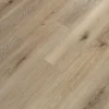Windansea