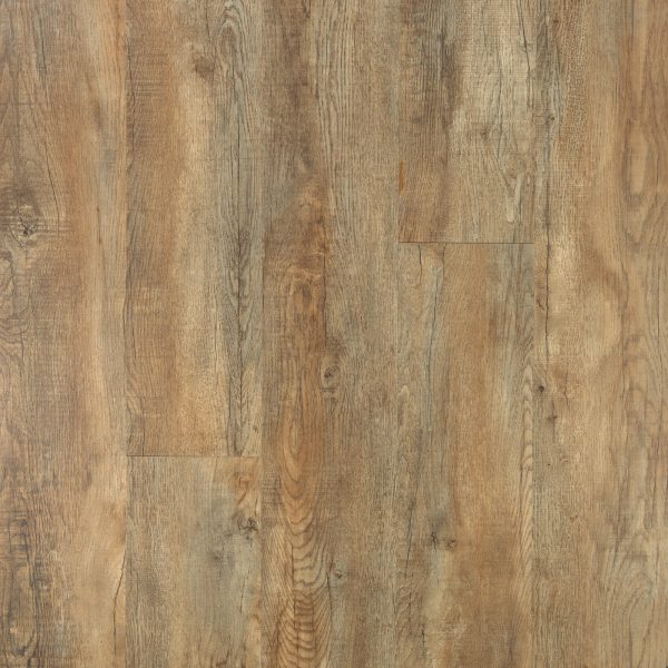 SolidTech Plus