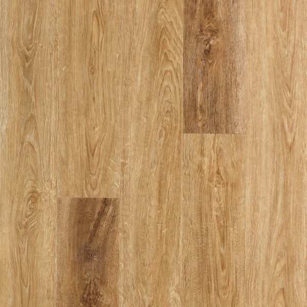 SolidTech Select