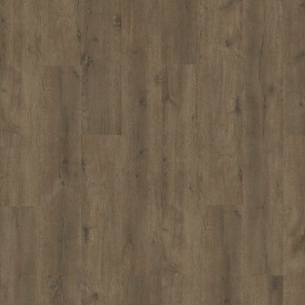 SolidTech Plus