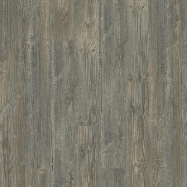 SolidTech Plus