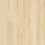 SolidTech Plus