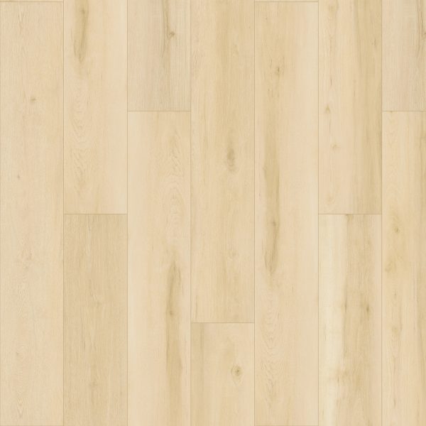 SolidTech Plus