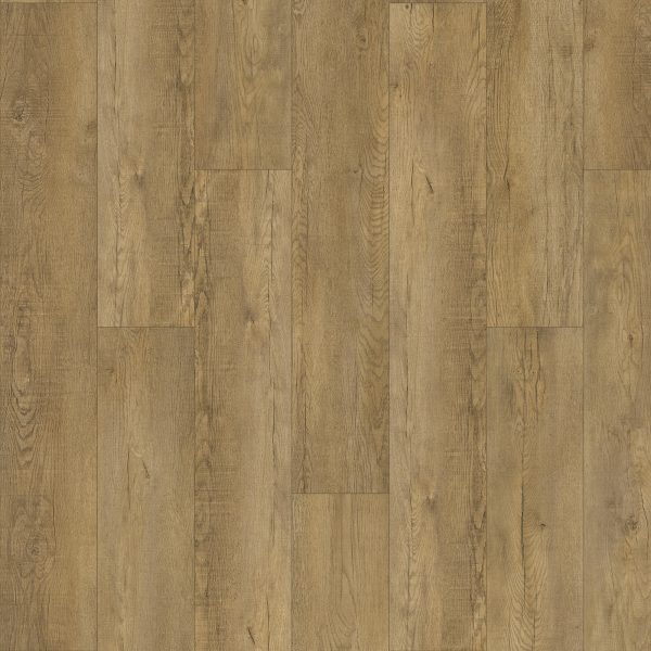SolidTech Plus