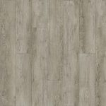 SolidTech Plus