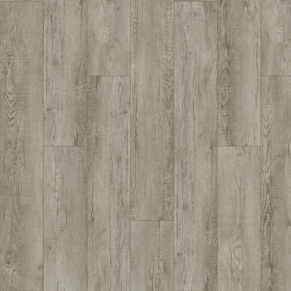 SolidTech Plus