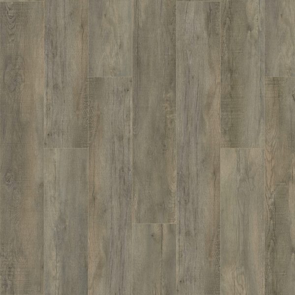 SolidTech Plus