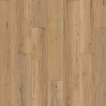 SolidTech Plus
