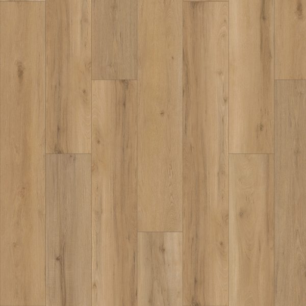 SolidTech Plus