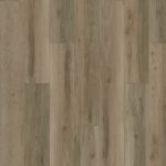 SolidTech Plus