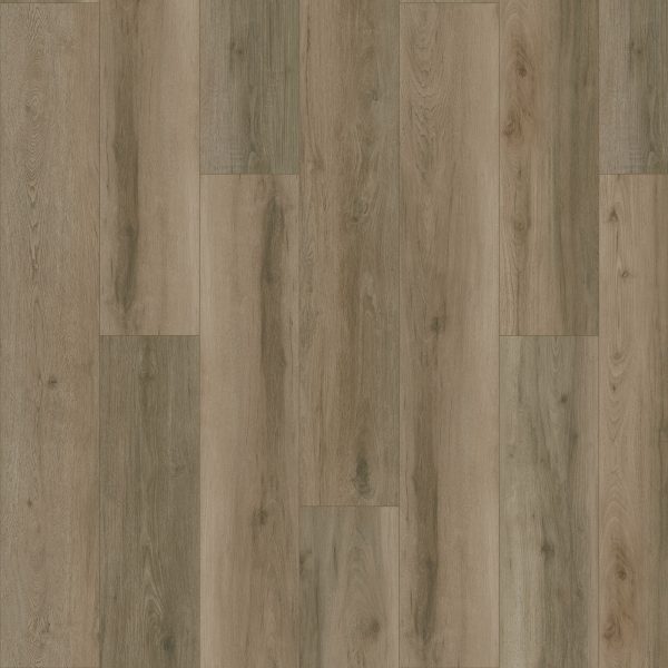 SolidTech Plus