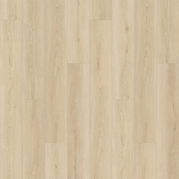 SolidTech Select