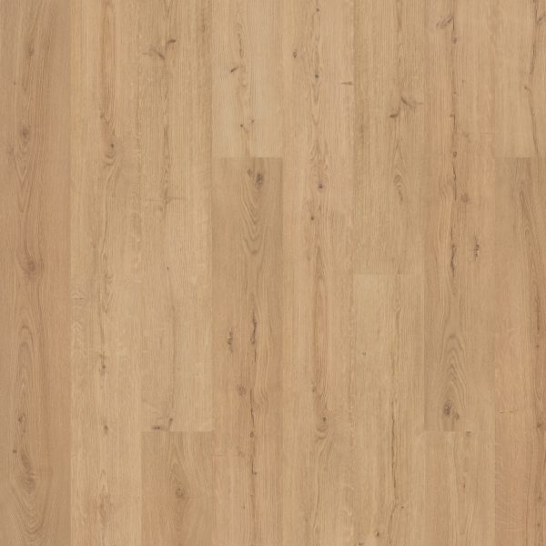 SolidTech Premier
