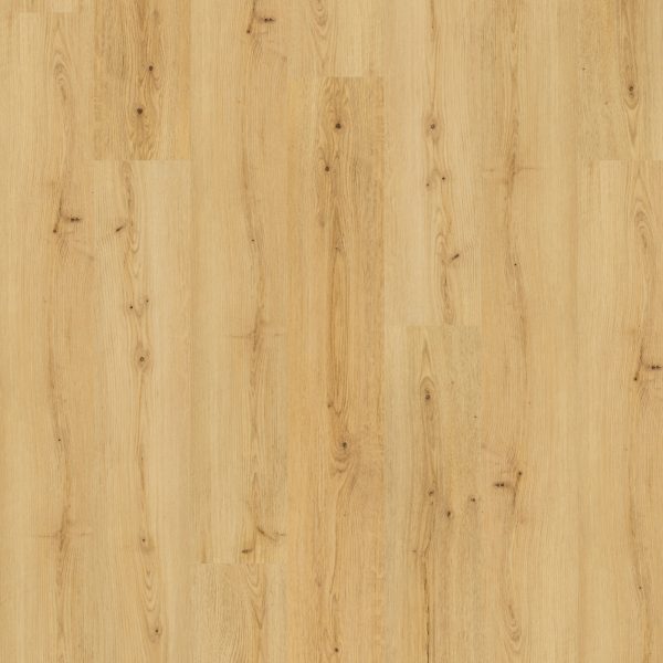 SolidTech Premier