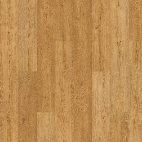 SolidTech Premier