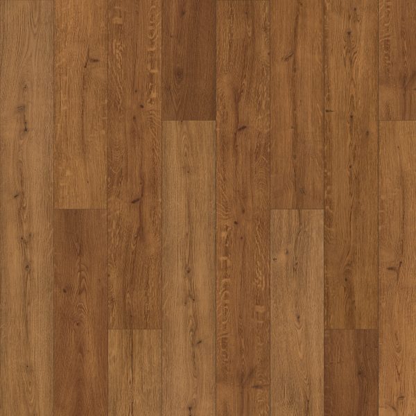 SolidTech Premier