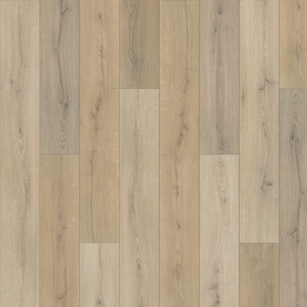 SolidTech Premier