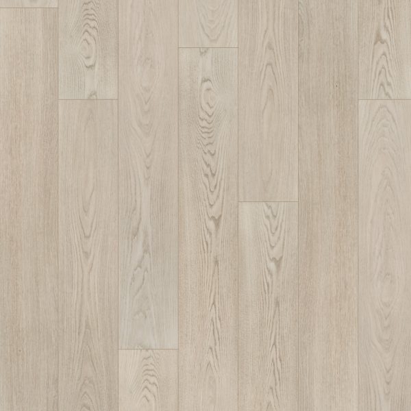 SolidTech Premier