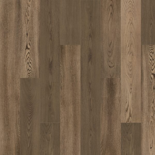 SolidTech Premier