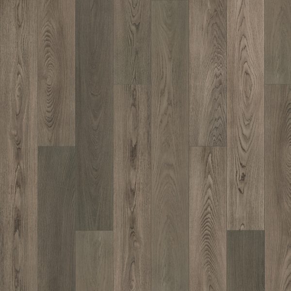 SolidTech Premier