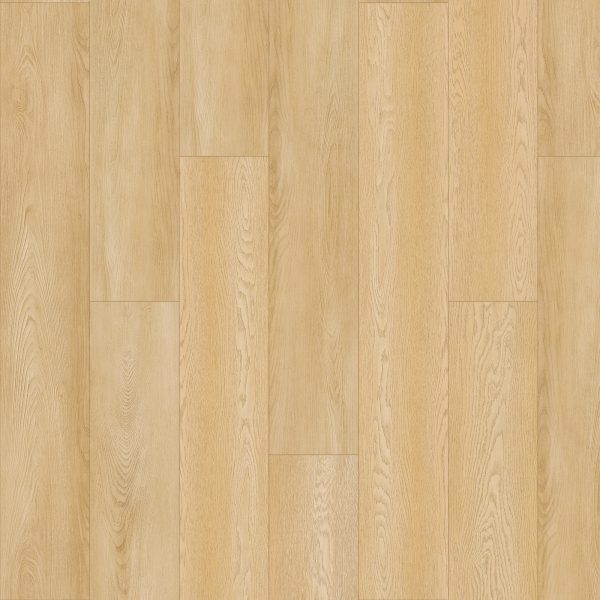 SolidTech Plus