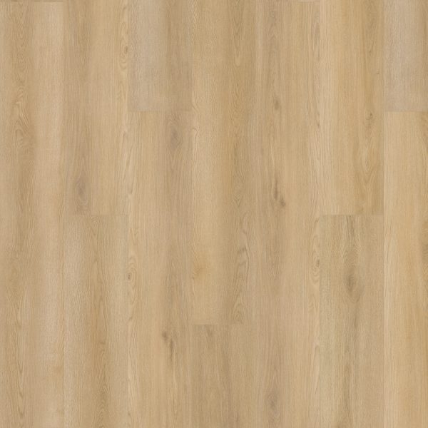 SolidTech Plus