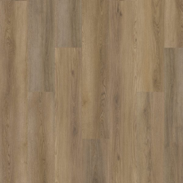 SolidTech Plus