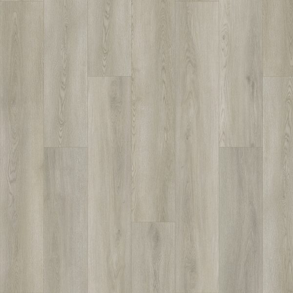 SolidTech Plus
