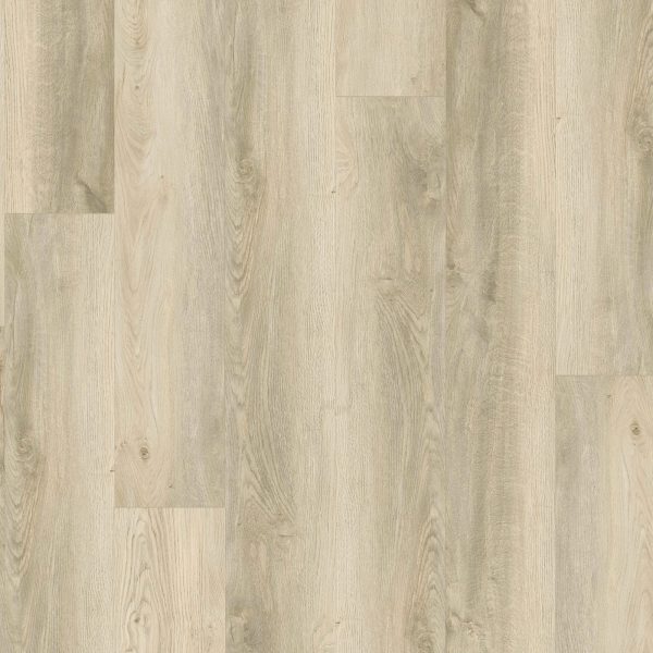 SolidTech Essentials