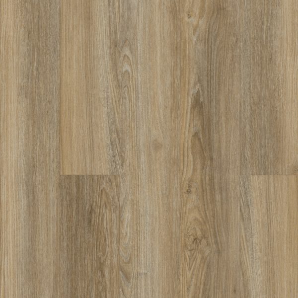 SolidTech Essentials