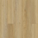 SolidTech Essentials