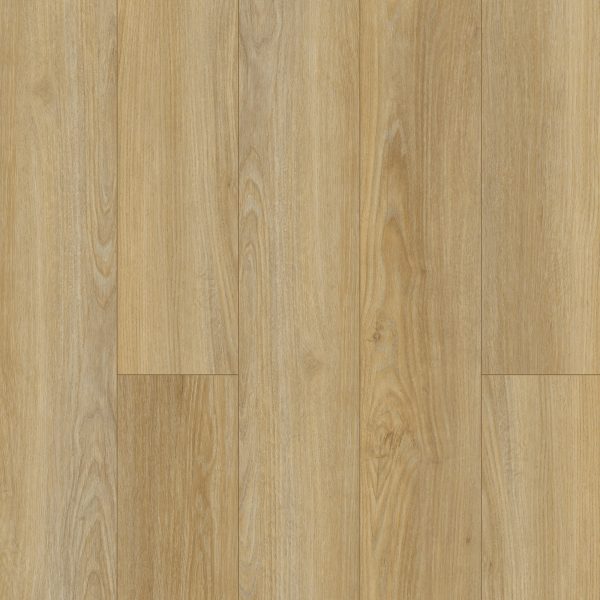 SolidTech Essentials