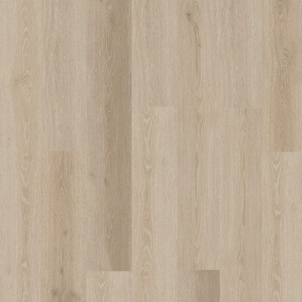 SolidTech Essentials