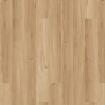 SolidTech Essentials