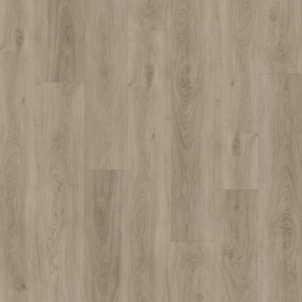 SolidTech Essentials