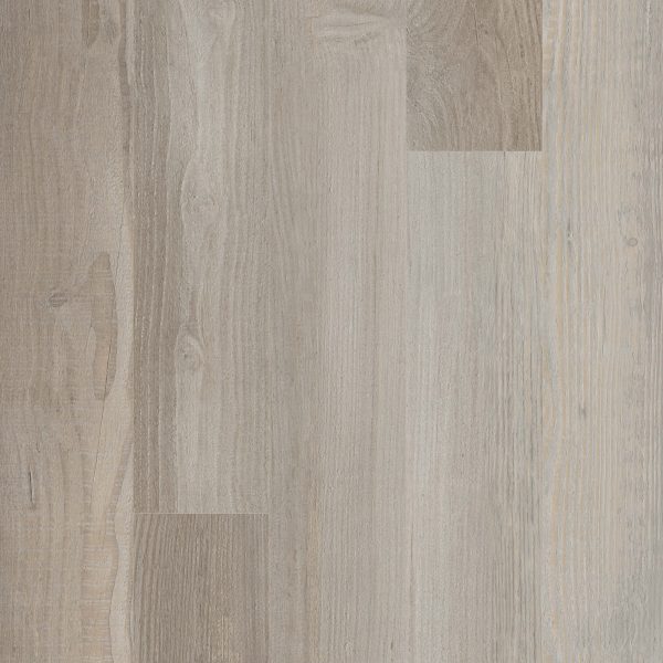 SolidTech Essentials