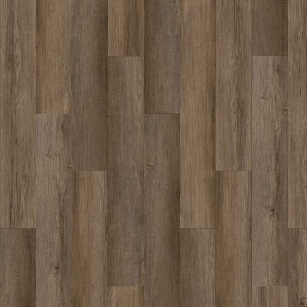 SolidTech Essentials