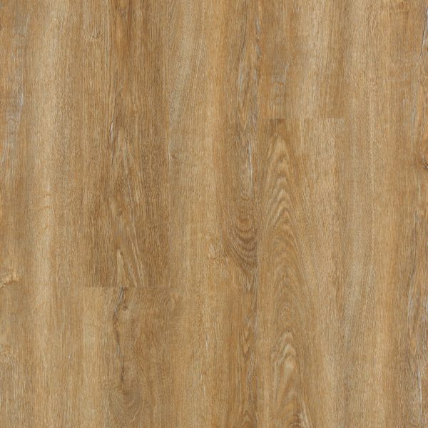 SolidTech Essentials