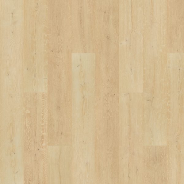 SolidTech Premier