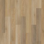 SolidTech Essentials