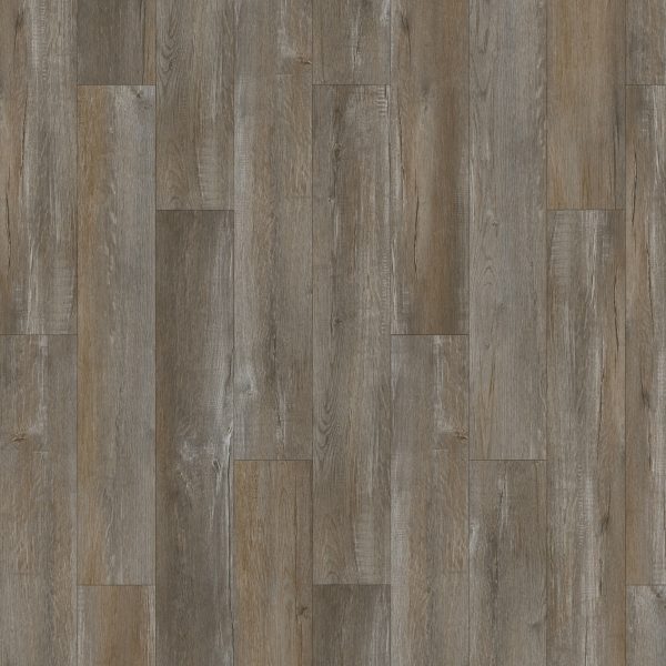 SolidTech Essentials